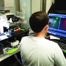 Photo of a researcher working on a computer in their lab.